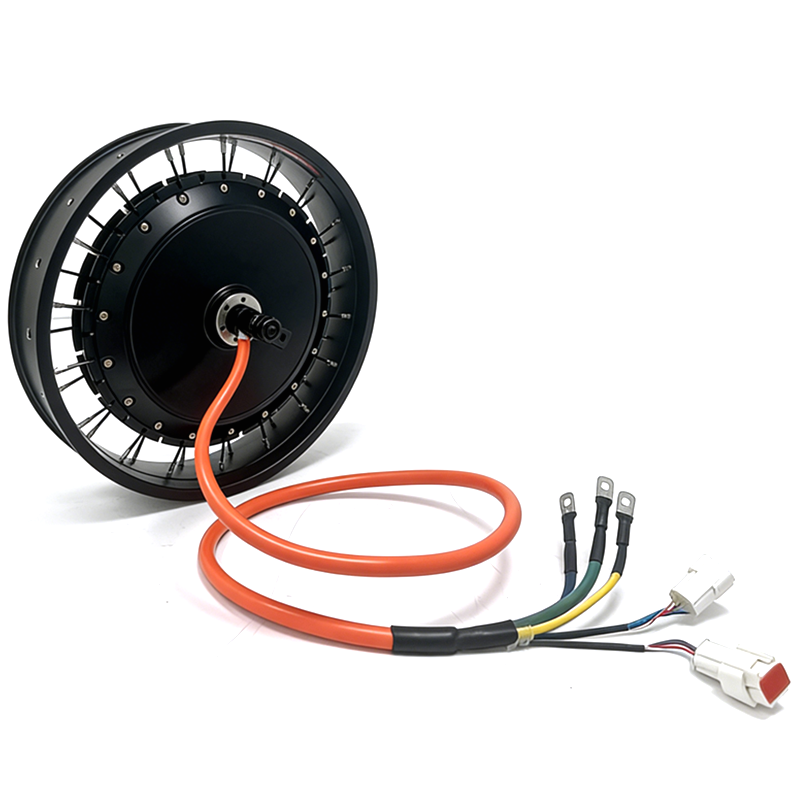 NBpower/QS 273 40H 48-96v Rate - огляд і ціна Qs Motor 273 8000W Hub Motor